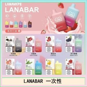 LANA BAR可充电一次性電子煙霧化5000口(3.0%)