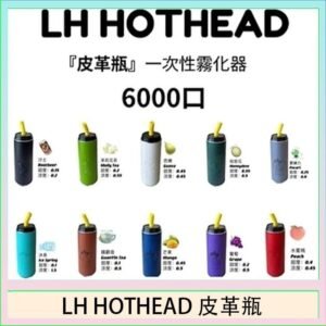 LH HOTHEAD皮革瓶電子煙可充電6000口一次性