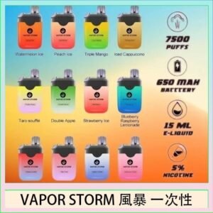 Vapor Storm風暴電子煙7500口（5%）一次性